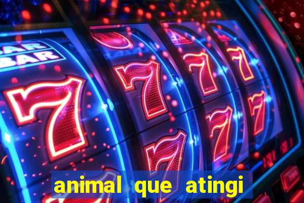 animal que atingi 230 decibeis